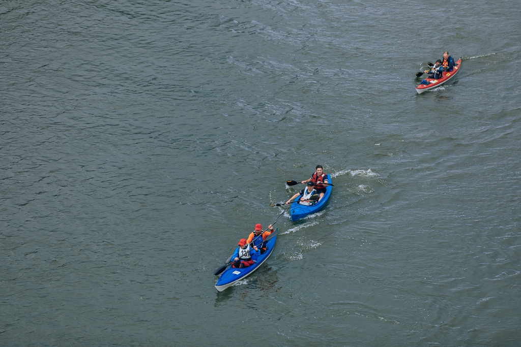 gal/  Regata_2026/237.jpg